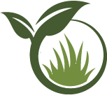 Grape Pruning Pros