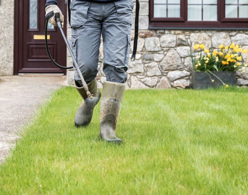 Healthy Vineyard Post-Pruning