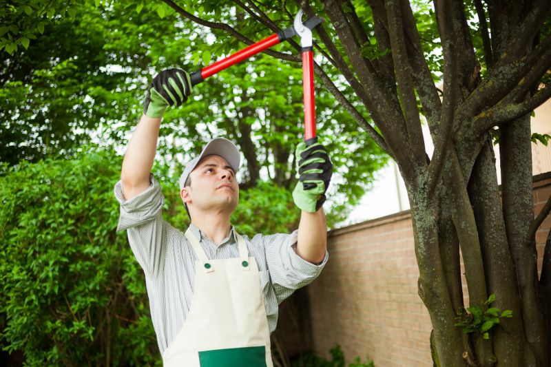 Arborists and Tree Care Professionals
